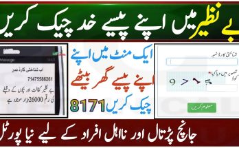 benazir income support programme new payment check online