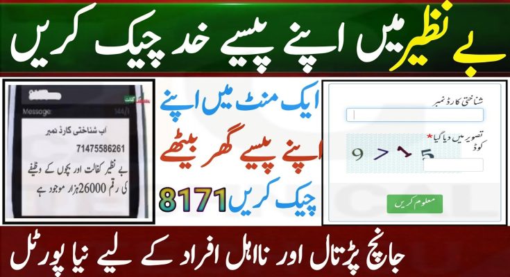 benazir income support programme new payment check online