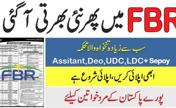 fbr jobs