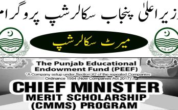 Punjab Government Scholarship Program 2024