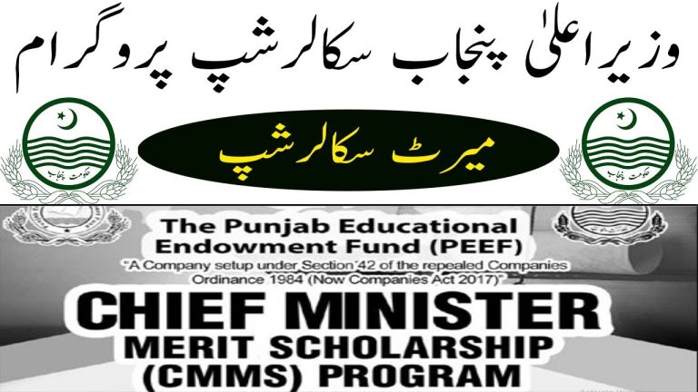 Punjab Government Scholarship Program 2024